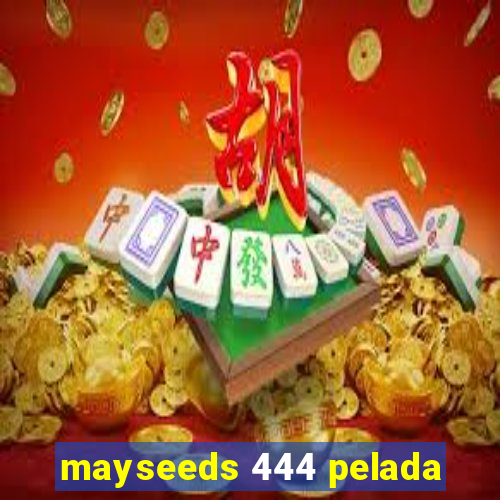 mayseeds 444 pelada